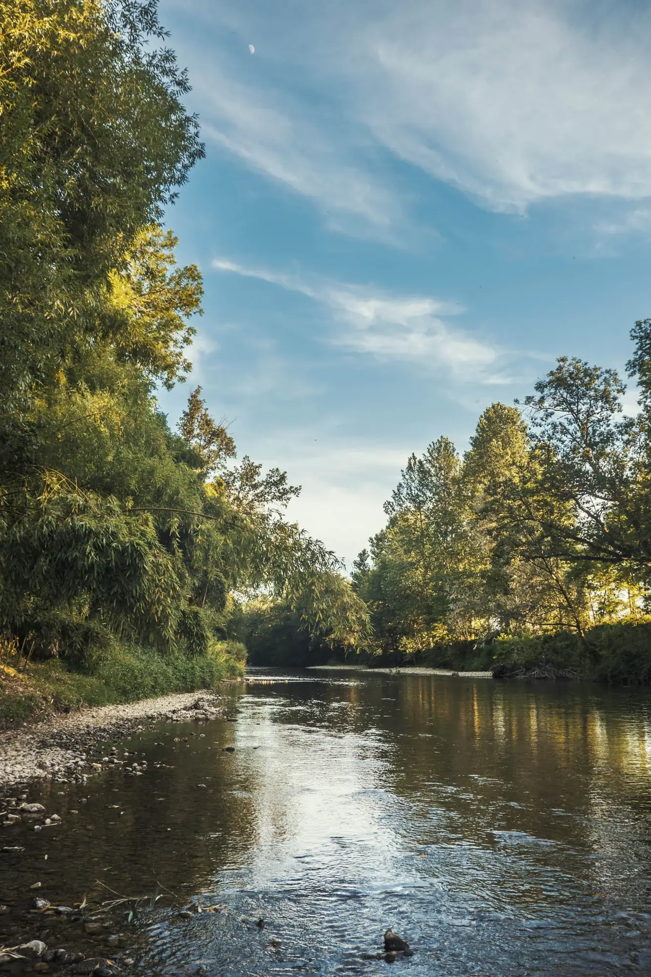 Tree-lined bank of the River Hers, near Le Parc aux Bambous