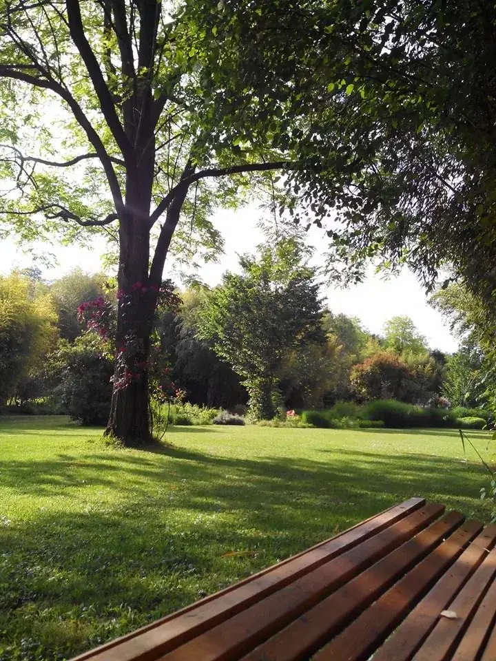 Banco de madera frente a un gran césped sombreado de Le Parc aux Bambous
