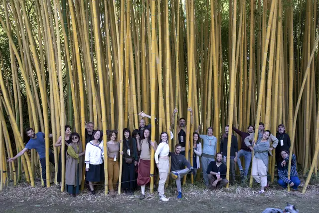 Gâteau servi sur une table à l'ombre des arbres du parc