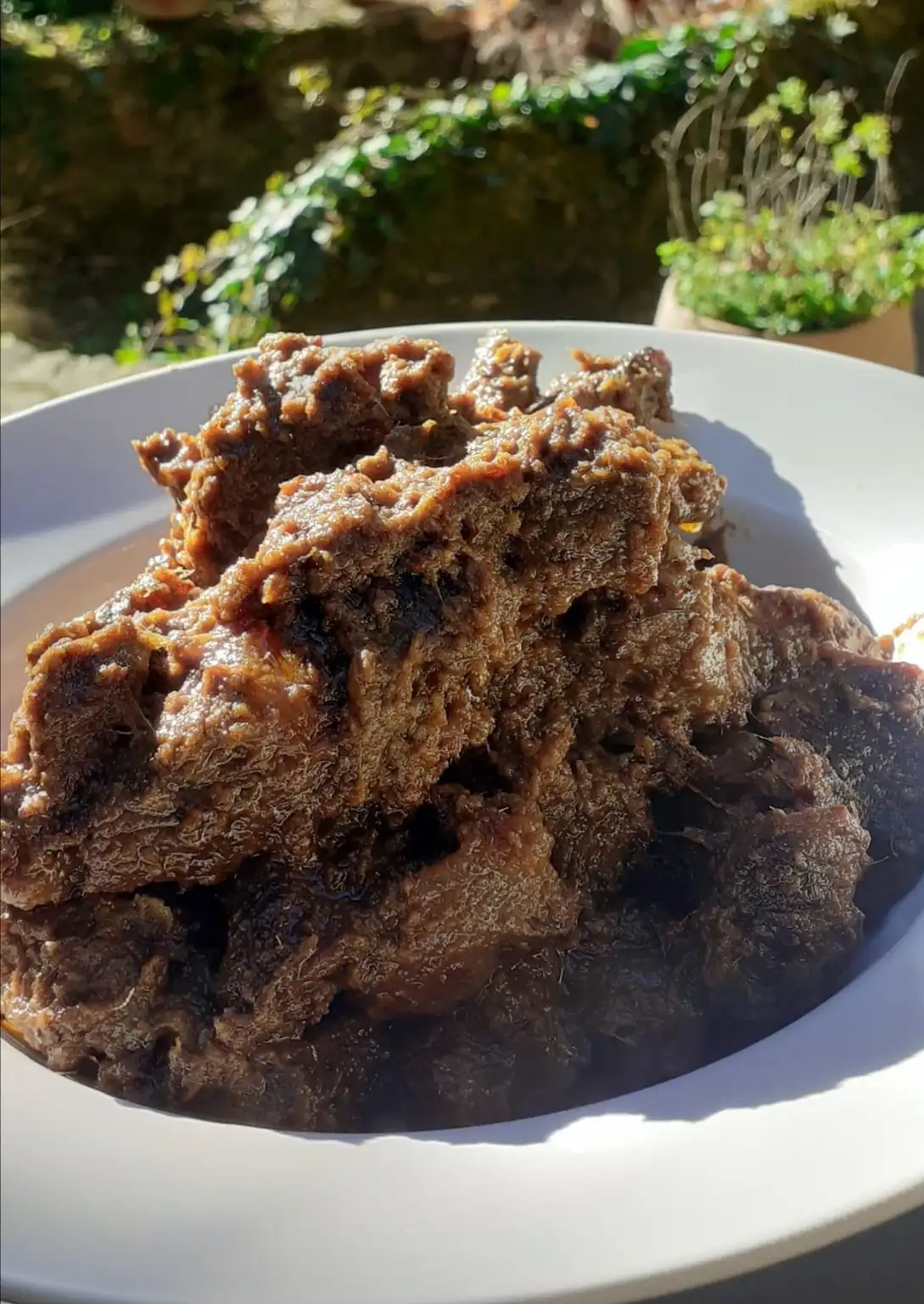 Plato indonesio en el jardín